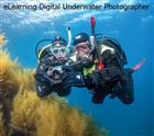 PADI Digital Underwater Photographer eLearning